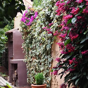 Casa Luly España